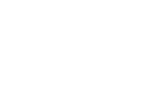 .lkj) Freiwilligendienste in und aus Sachsen-Anhalt